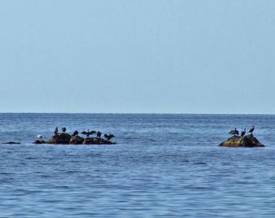 Прикрепленное изображение: DSCF7960.jpg